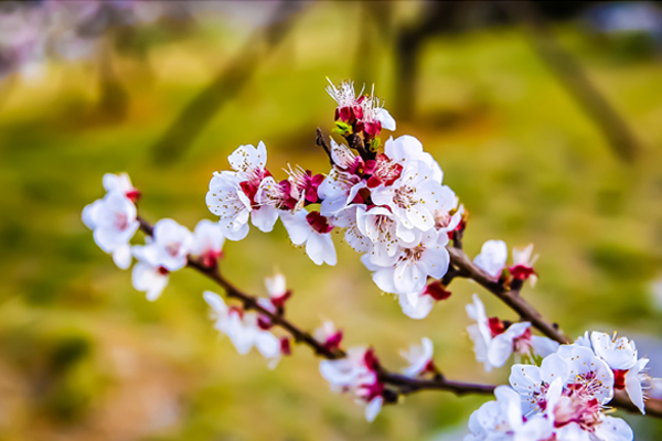 ������Ժ��Ҋ��ů���_