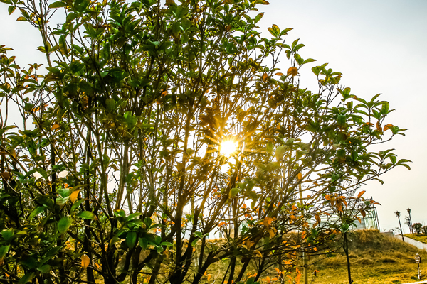 ������Ժ��Ҋ��ů���_