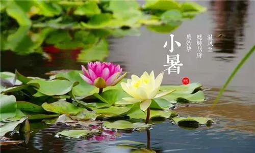 СB(yng)ٲС(ji)ԓB(yng)