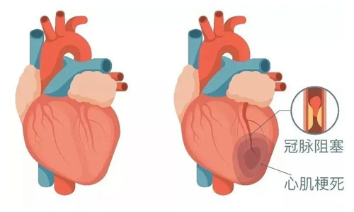 5N̖(ho)ʾļl(f) 10(g)r(sh)Ҫ⾯