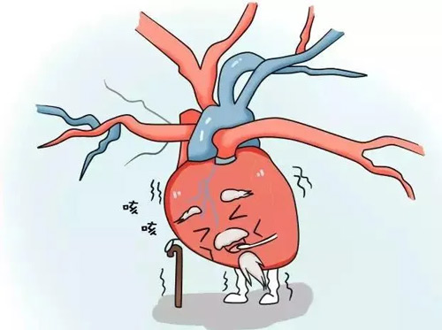 5N̖(ho)ʾļl(f) 10(g)r(sh)Ҫ⾯