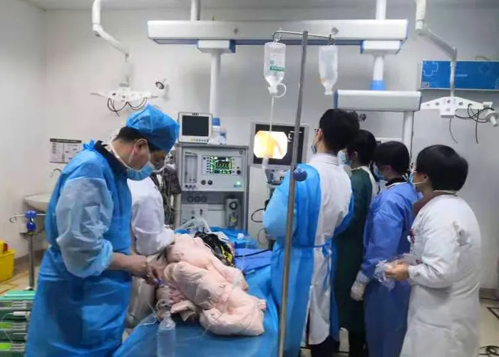 @һr(sh)](mi)ס2qͯ`ʳ10Ƭˎ