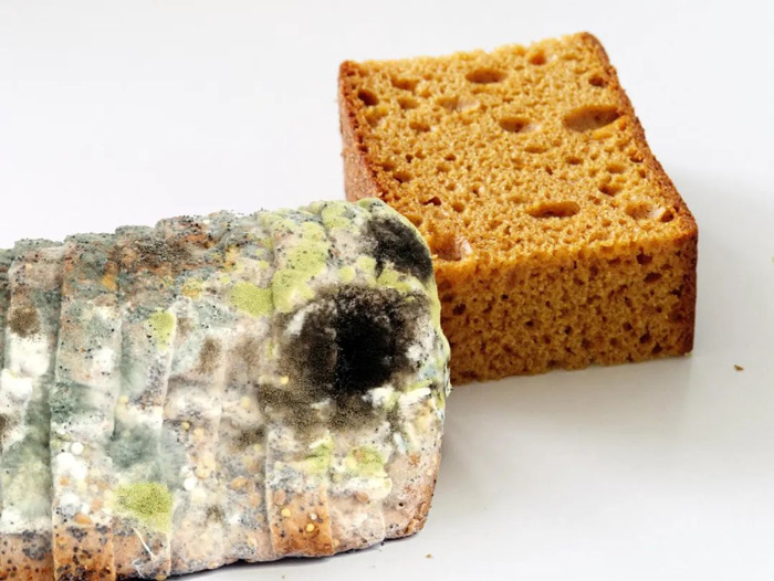 βΣΐ۸B(yng)o(h)Σ