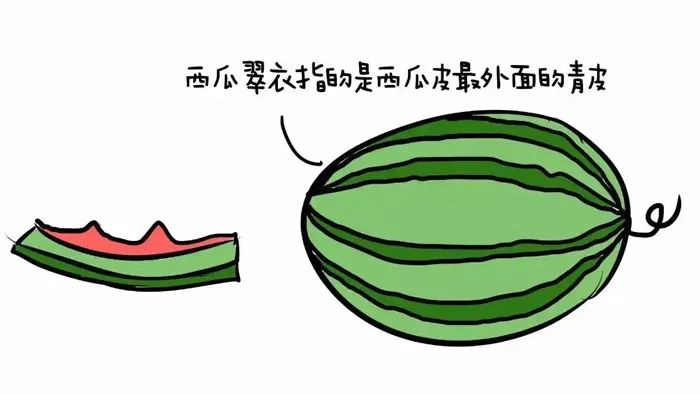 Ƥĺ̎@ô֪һ(g)㶼(hu)ӵ~(y)