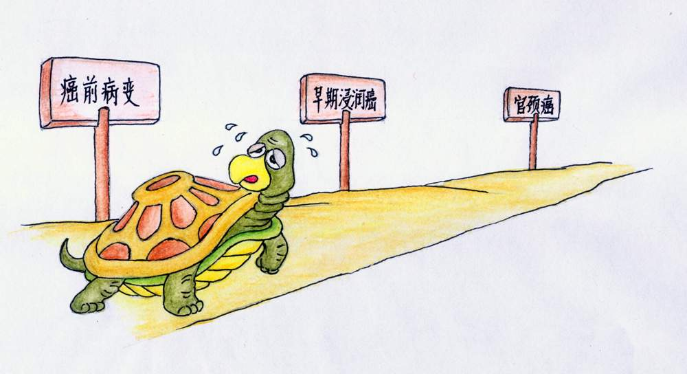 宮頸癌篩查與預(yù)防 宮頸癌篩查與預(yù)防