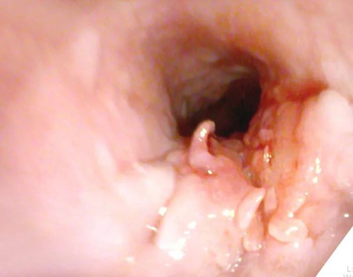 Yǡʡ@N(ji)sО̫sVRֹͣ......