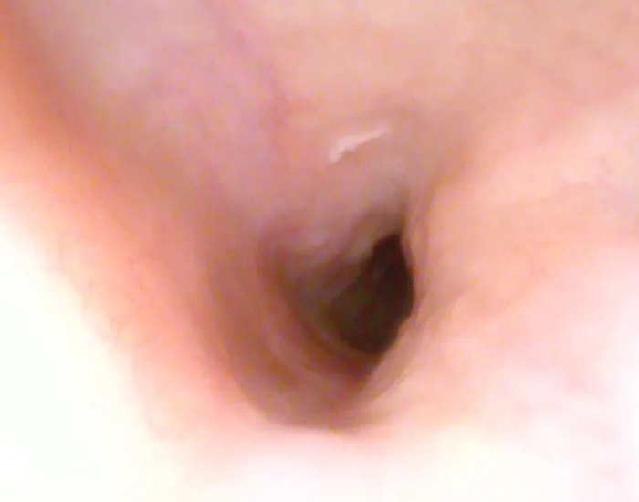 Yǡʡģ@N(ji)sО̫sVRֹͣ......