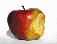 (jng)(yng)ȾƱؿǧf(wn)e׌@ӵıٰl(f)~