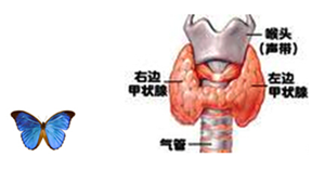 wzht@ӵġɿΡ(hu)x