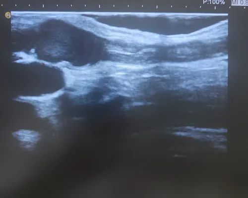 Ҋƽҡٴδͨ......