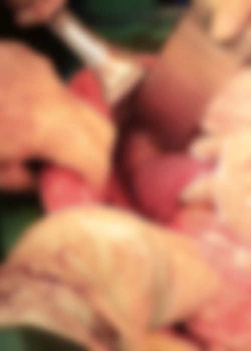 17q܇}t(y)ġ(jng)򞡱