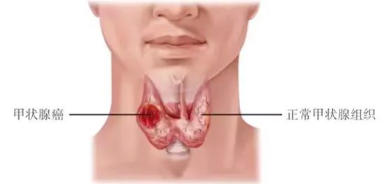 נٰ_ϡѡǐһҊ(jin)֕ԣ