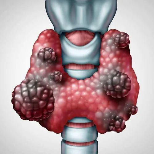 נٰ_ϡѡǐһҊ(jin)֕