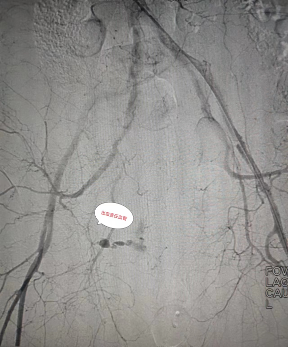 g(sh)пҊ(jin)(dng)}ѳѪxѪ?jing)}ӰC(sh)