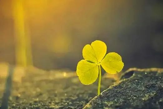 Â䲻У@A(dng)ĉ(mng)