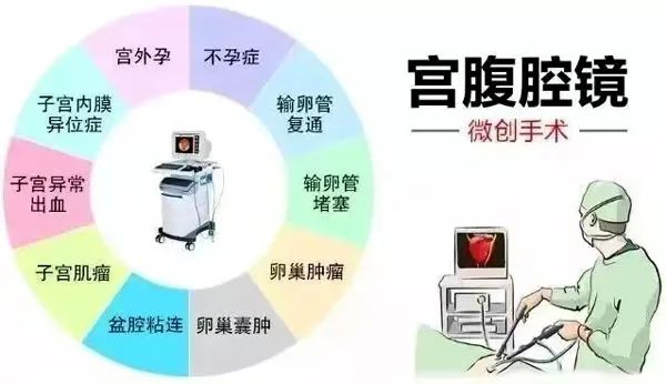 Â䲻У@A(dng)ĉ(mng)