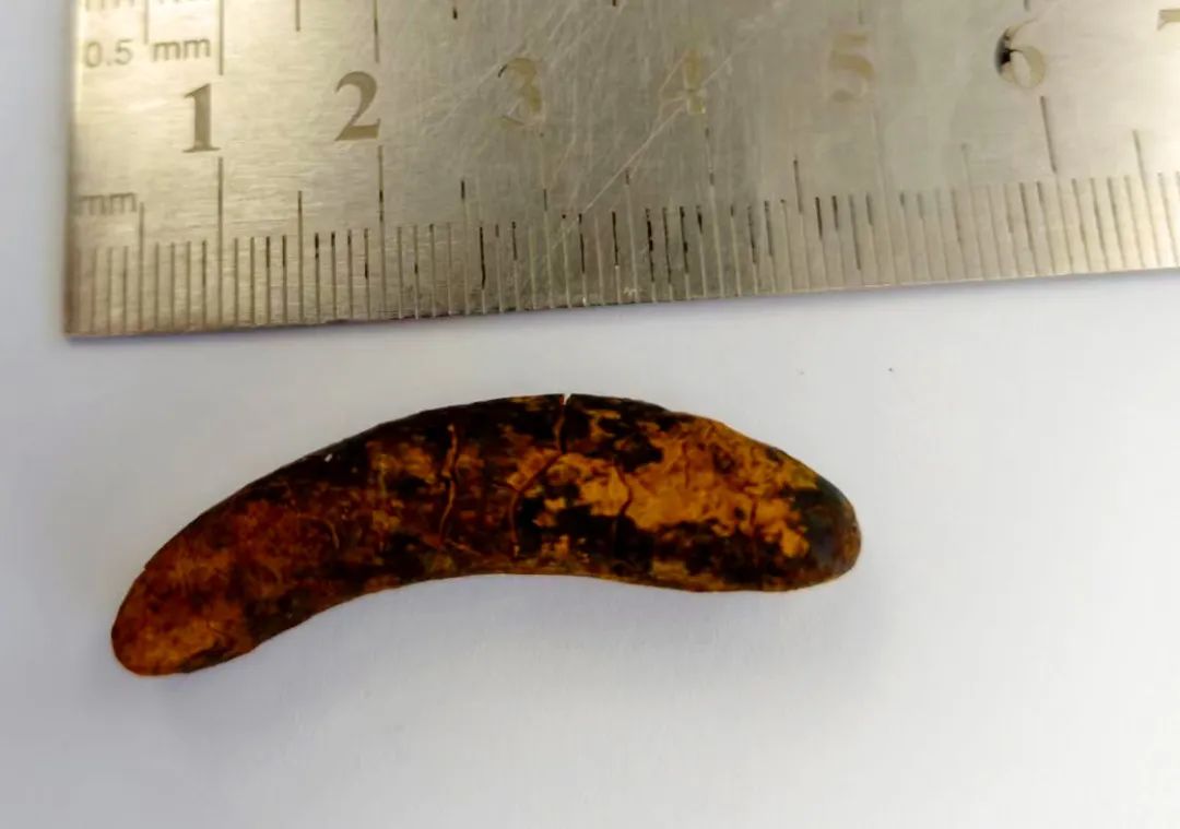 pR赣һλ׌đY(ji)ʯo(w)̎ѭ