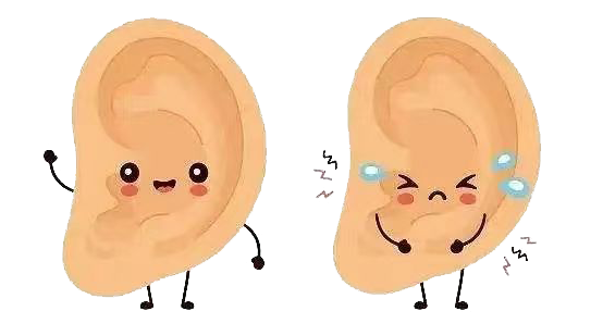 Ӹðװl(f)@90%ļL(zhng)(hu)ҕ@ЩY