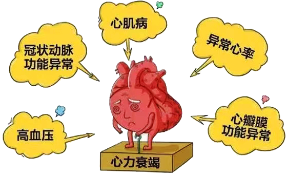 ĸð˥ʲôc(din)Ҫ......