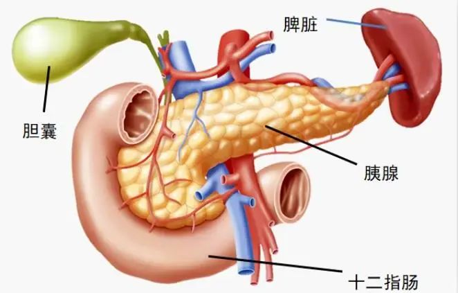p˵(x)T׌c(din)סM(jn)ICU......