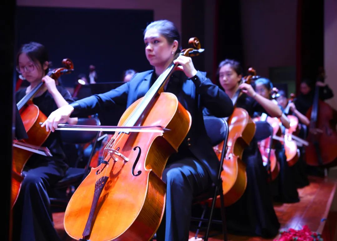 ϙC(j)I(y)W(xu)Ժ֪н푘(l)F(tun)߻͜ů(yng)t(y)Ժ(zhun)(chng)2024꽻(l)(hu)