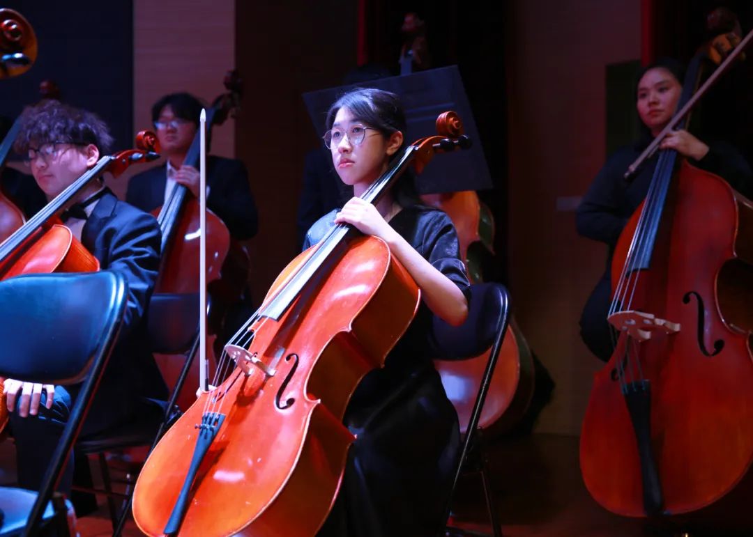 ϙC(j)I(y)W(xu)Ժ֪н푘(l)F(tun)߻͜ů(yng)t(y)Ժ(zhun)(chng)2024꽻(l)(hu)