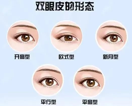 ԭpƤĘҲд乫ʽĘ͸mһNpƤ