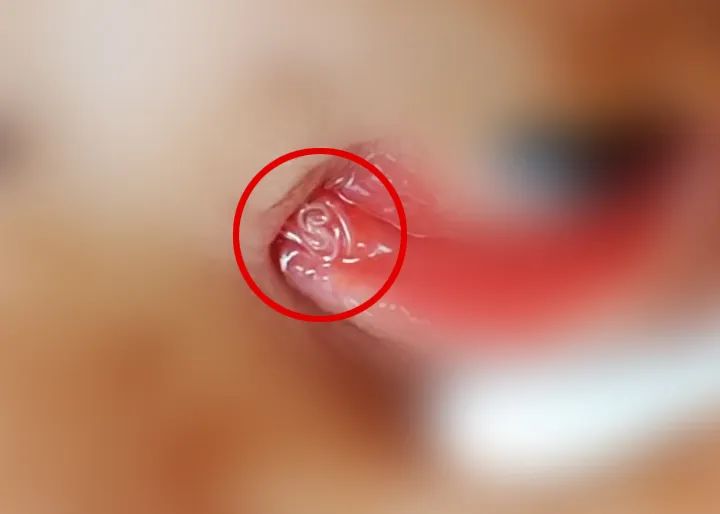 裡80qﾹ׽8lx@(x)Tso......