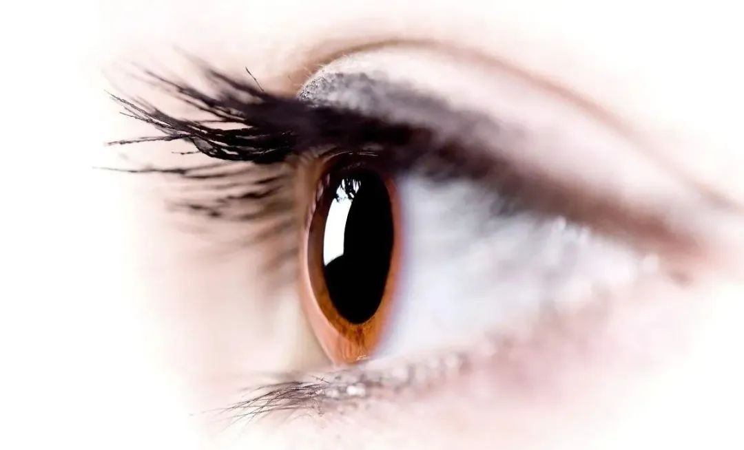 80qﾹ׽8lx@(x)Tso......