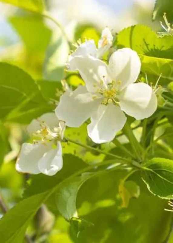 Ů(ji)ϵЃ(yu)ݻ(dng)LCu~