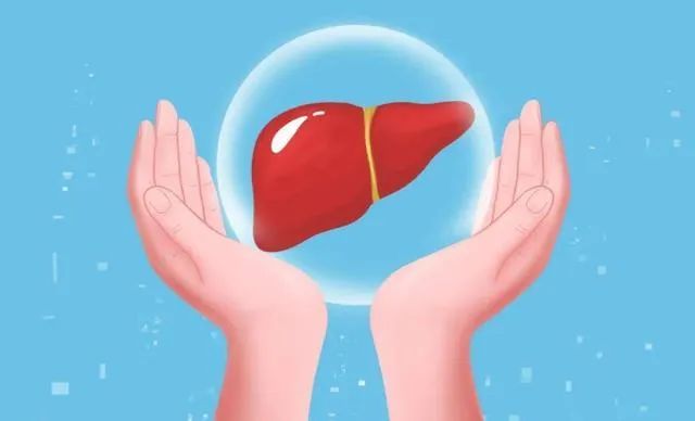 B(yng)(dng)r(sh)s3.18@ݡΡ؛Ո(qng)պ