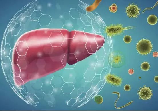 B(yng)(dng)r(sh)s3.18@ݡΡ؛Ո(qng)պ