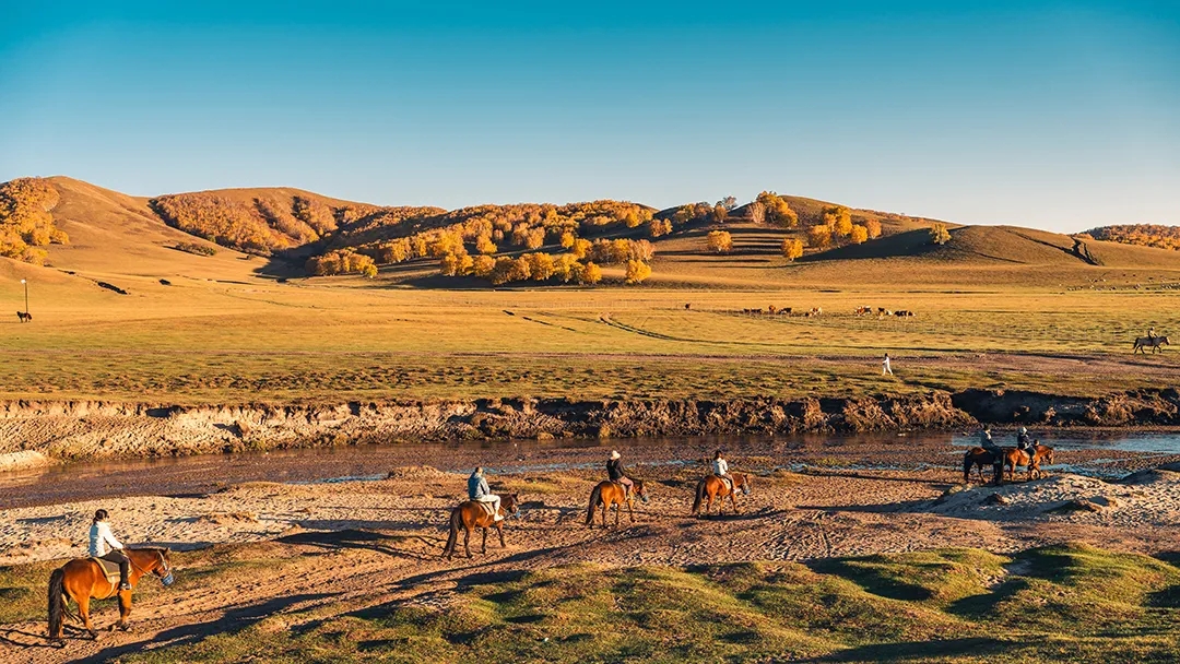 ֮ͨ·g(sh)׌Ĳٴpӯ