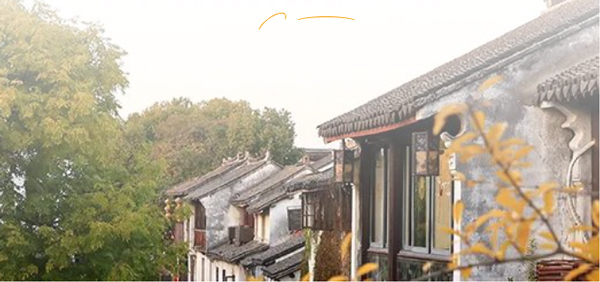 ؟cεĽܰt(y)ĸ۞