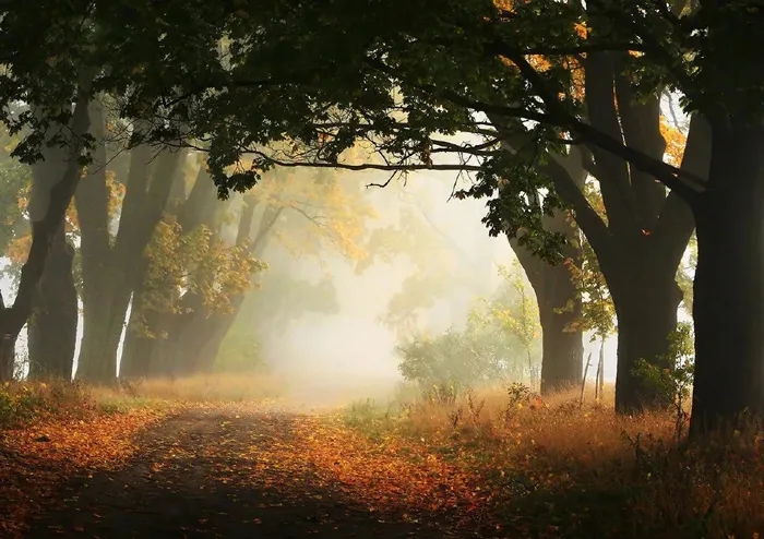 ؟cεĽܰt(y)ĸ۞