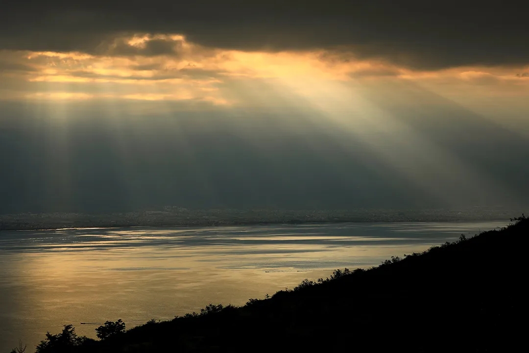 ؟cεĽܰt(y)ĸ۞