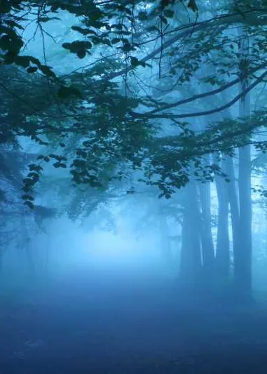 ʺвm@(g)Сһ