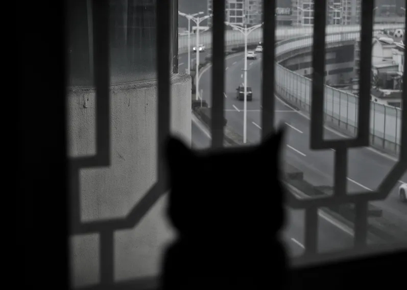 ʺвm@(g)Сһ