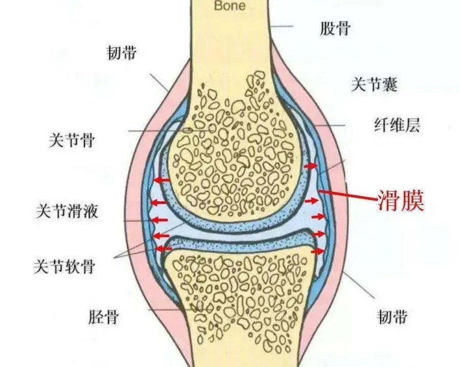 ЃŮġP(gun)(ji)l(wi)(zhn)׌ӿ옷