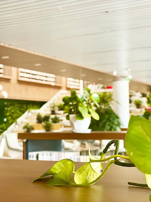 ССY(ji)ʯСUc(din)ᄳɴ!