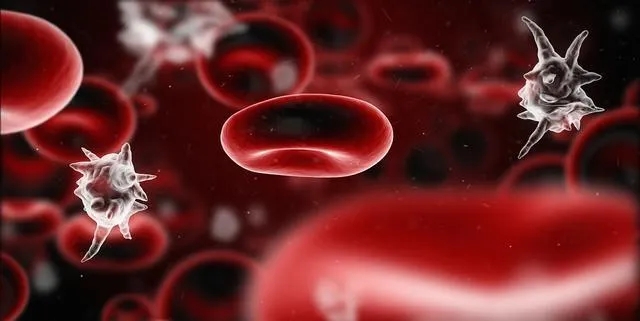 ССY(ji)ʯСUc(din)ᄳɴ!