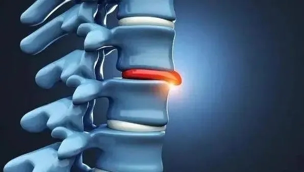 gPͻԇԇ@6չ׌Uֱͦ