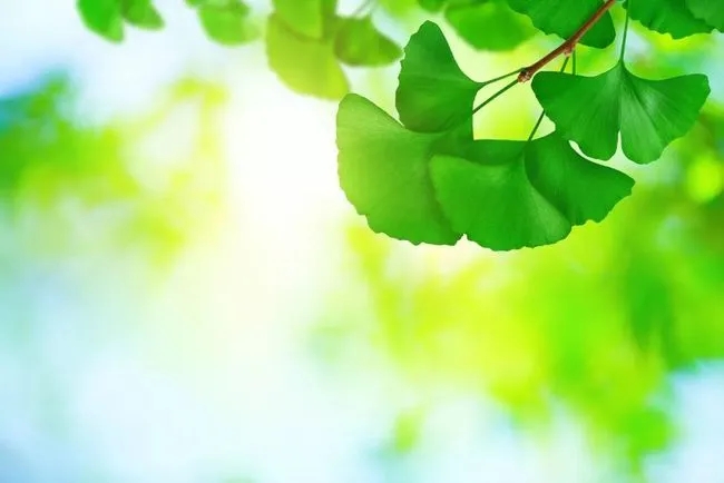 ׌ͻƿic(din)M(jn)͌(du)