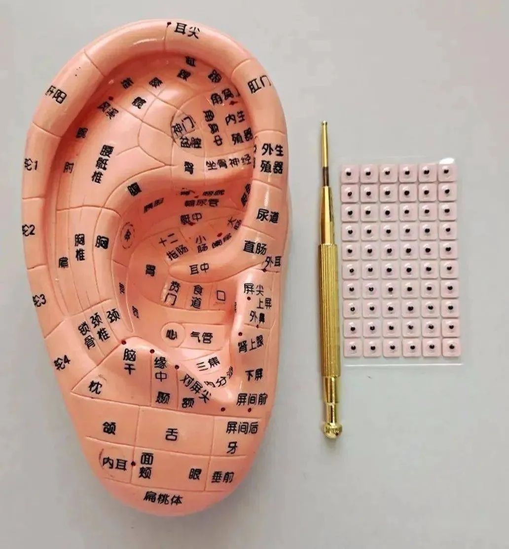 ׌ͻƿic(din)M(jn)͌(du)