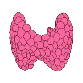 PġСe׌^Ȅʧߺw