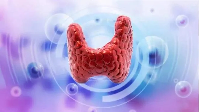 PġСe׌^Ȅʧߺw