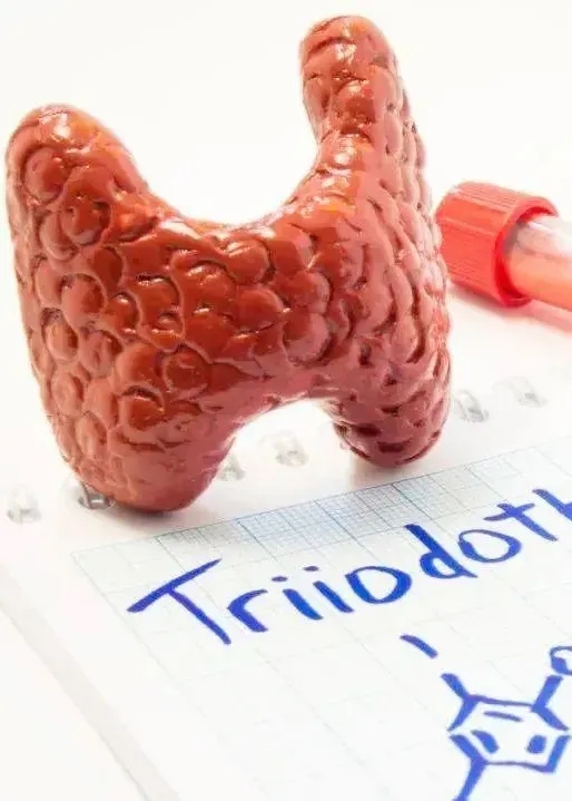 PġСe׌^Ȅʧߺw