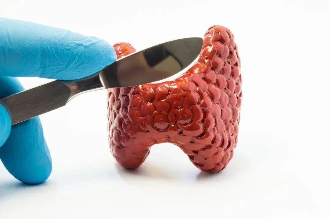 PġСe׌^Ȅۡʧߺw