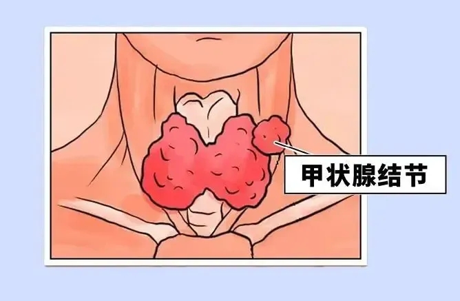 PġСe׌^Ȅʧߺw