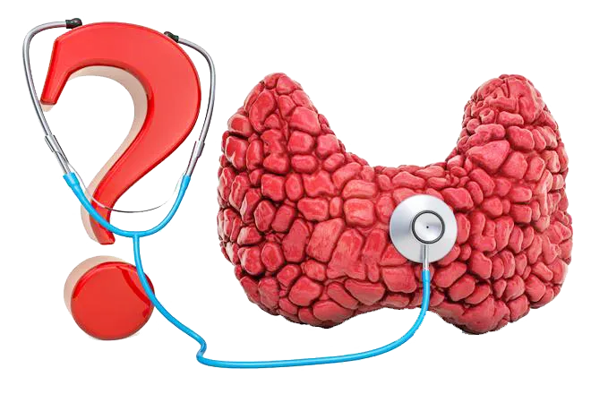 PġСe׌^Ȅʧߺw